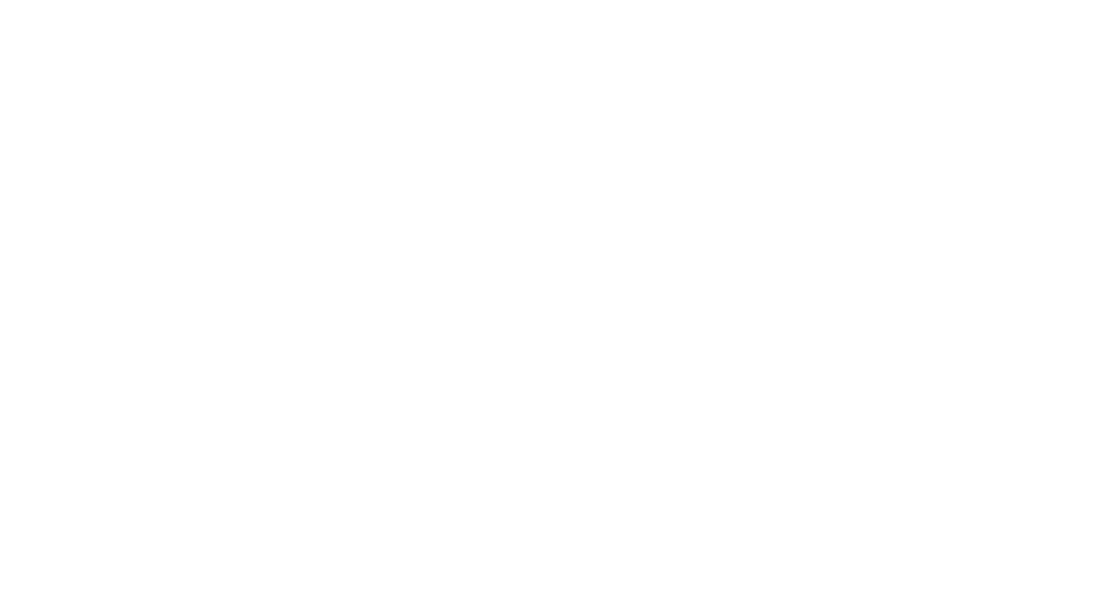 We are SSI
